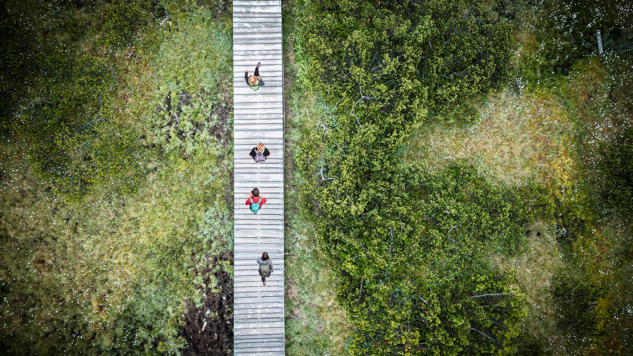Location Risk Intelligence Platform vs On-Demand – what’s right for you?