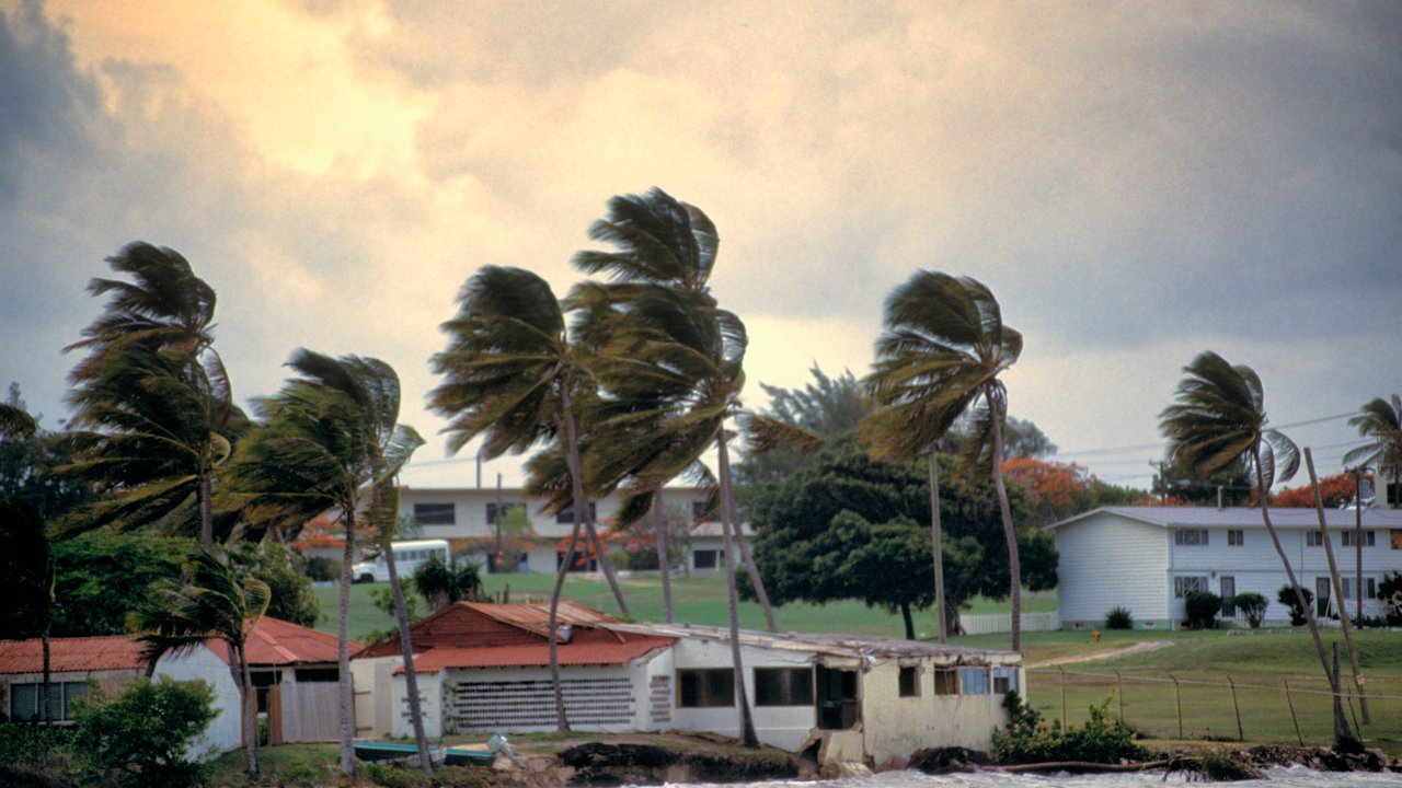 The 2025 hurricane and typhoon seasons: 5 takeaways for risk management Windy coastal scene with palm trees, damaged buildings, and a cloudy sky.