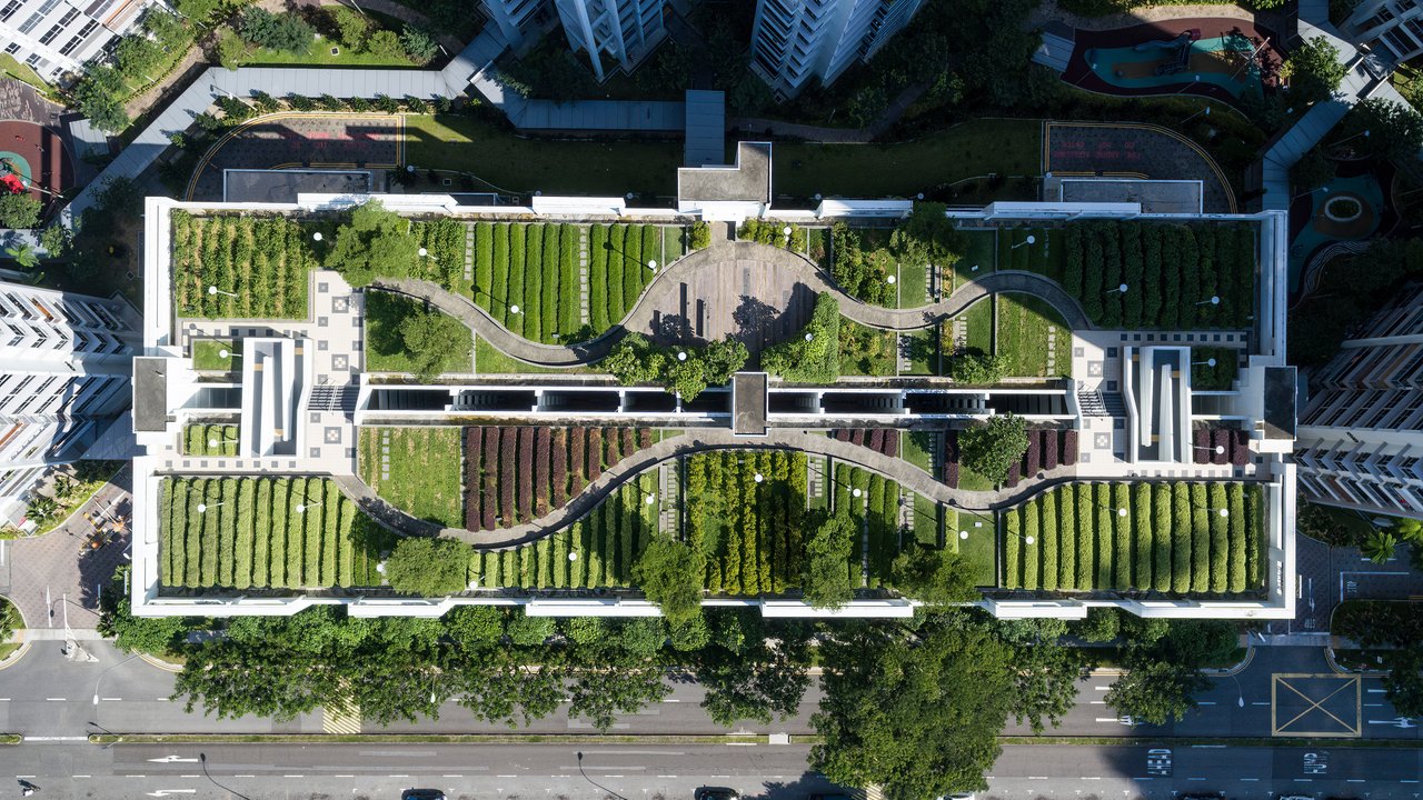 4 ways to embed climate resilience across critical sites Aerial shot of rooftop garden