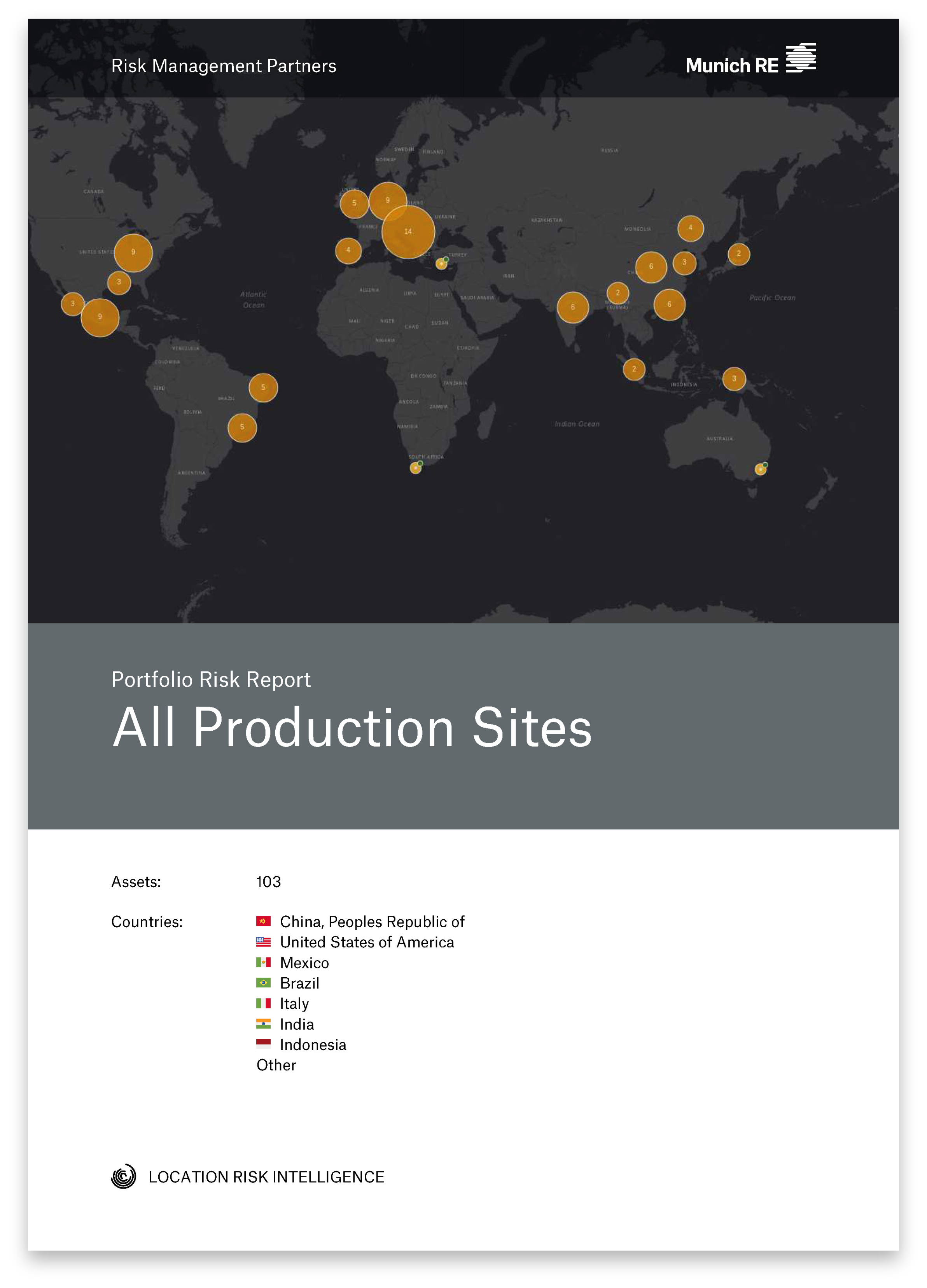 Munich Re Sample Report Portfolio