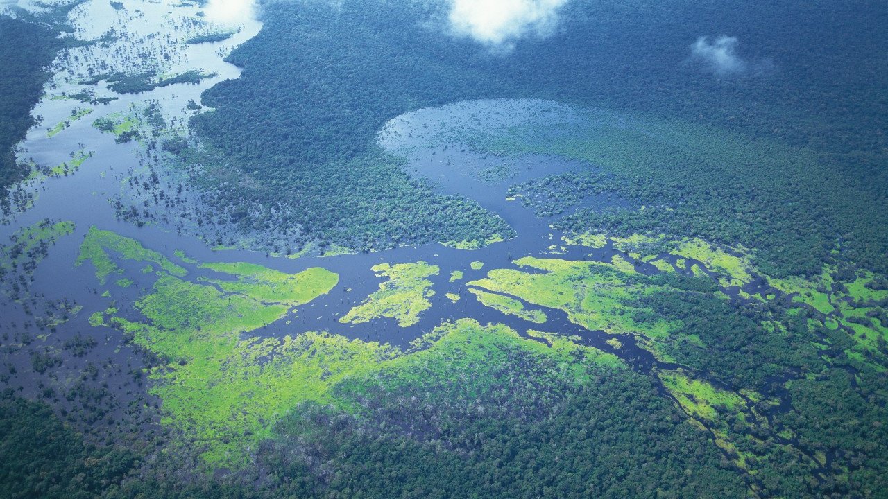 Aerial view of a lush green landscape with rivers and wetlands, surrounded by dense forest and cloudy sky.