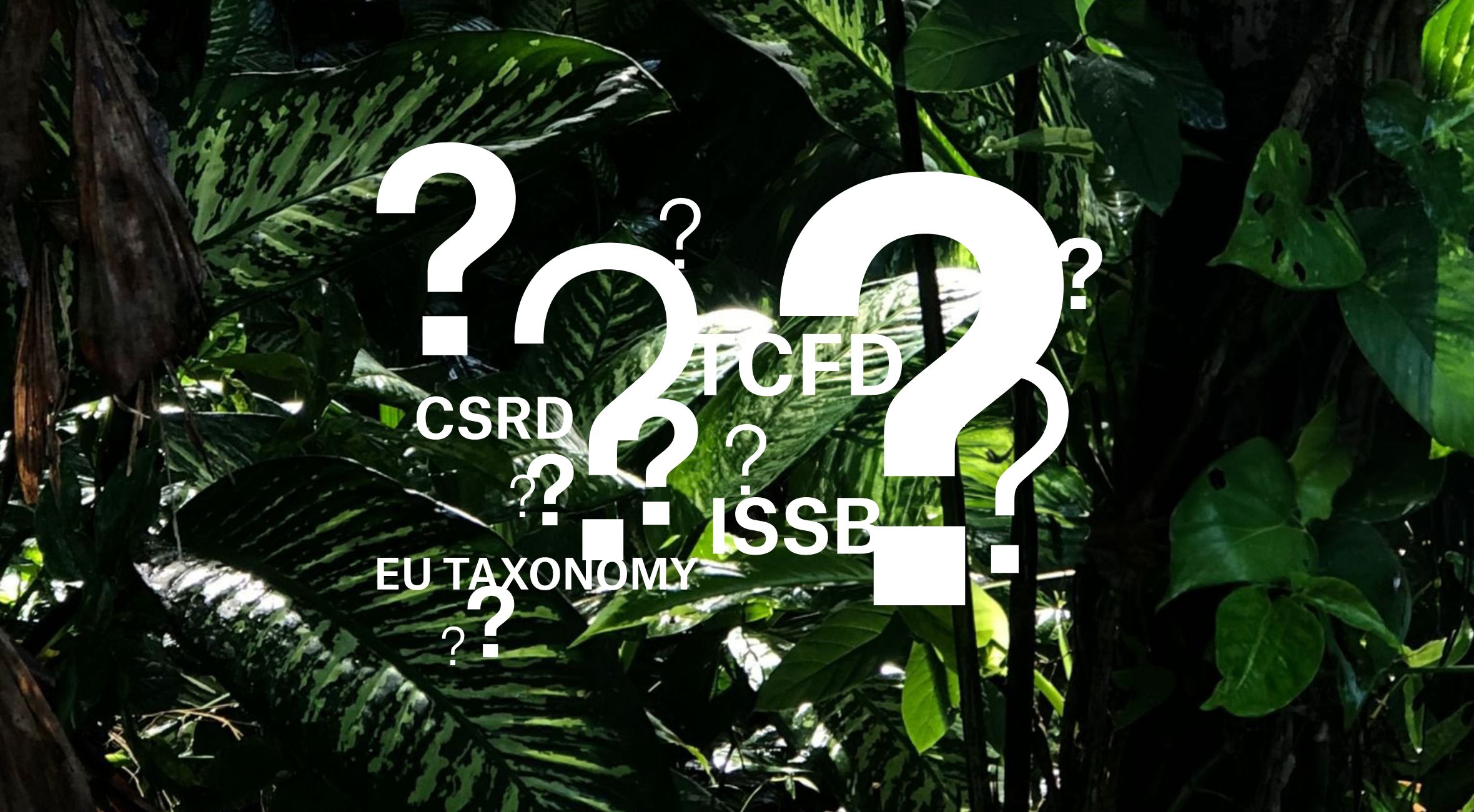 Natural Hazards Edition